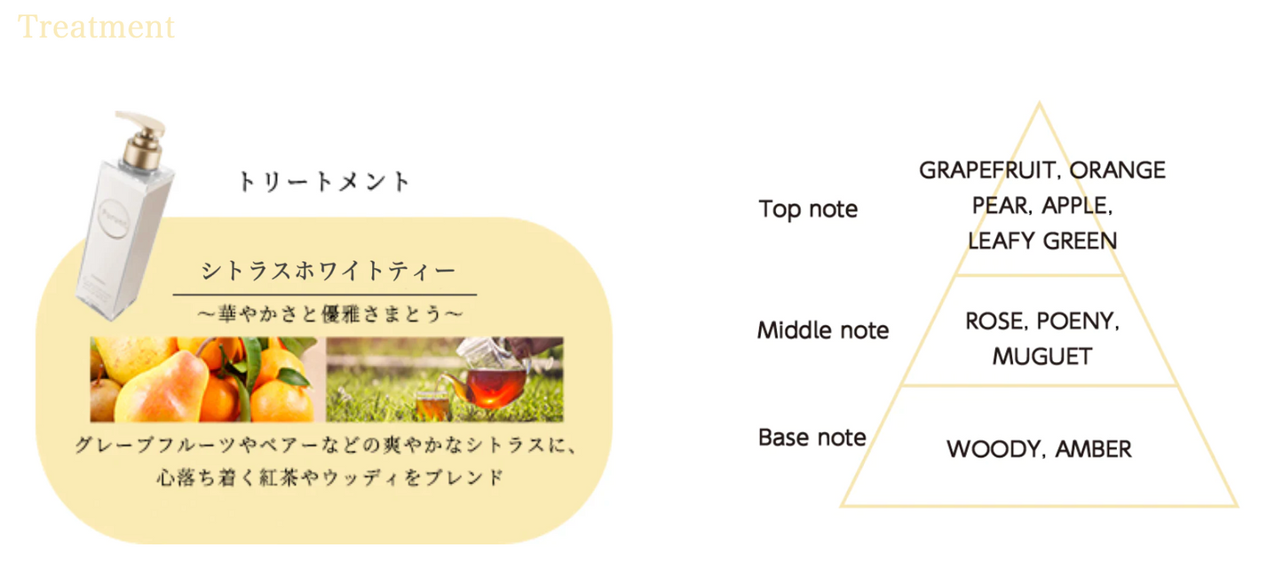 【詰め替えセット】プルント モイストリッチリペア美容液シャンプー300mL&トリートメント 300g