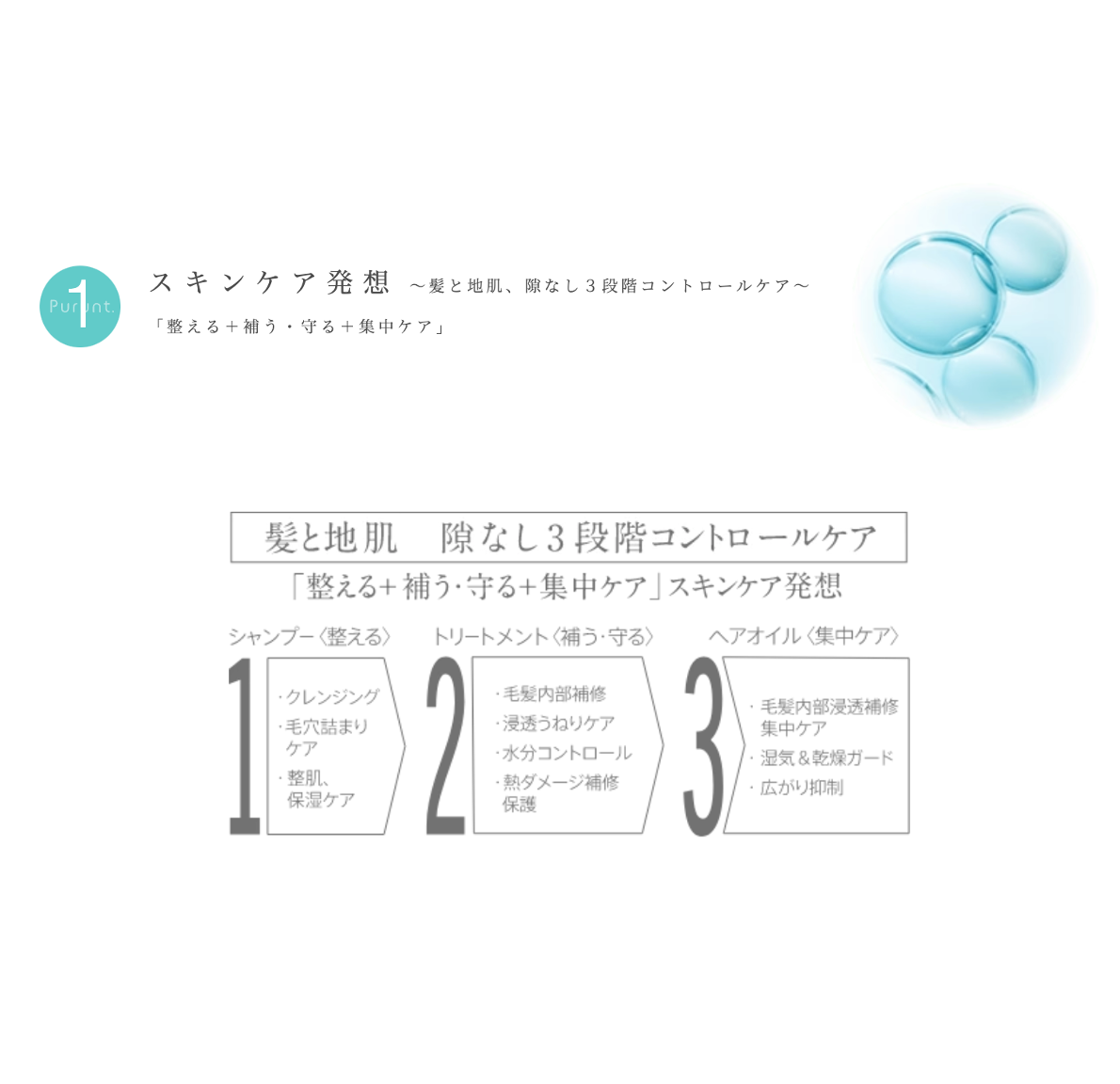 【ボトルセット】プルント コントロール 美容液シャンプー380mL& トリートメント360g