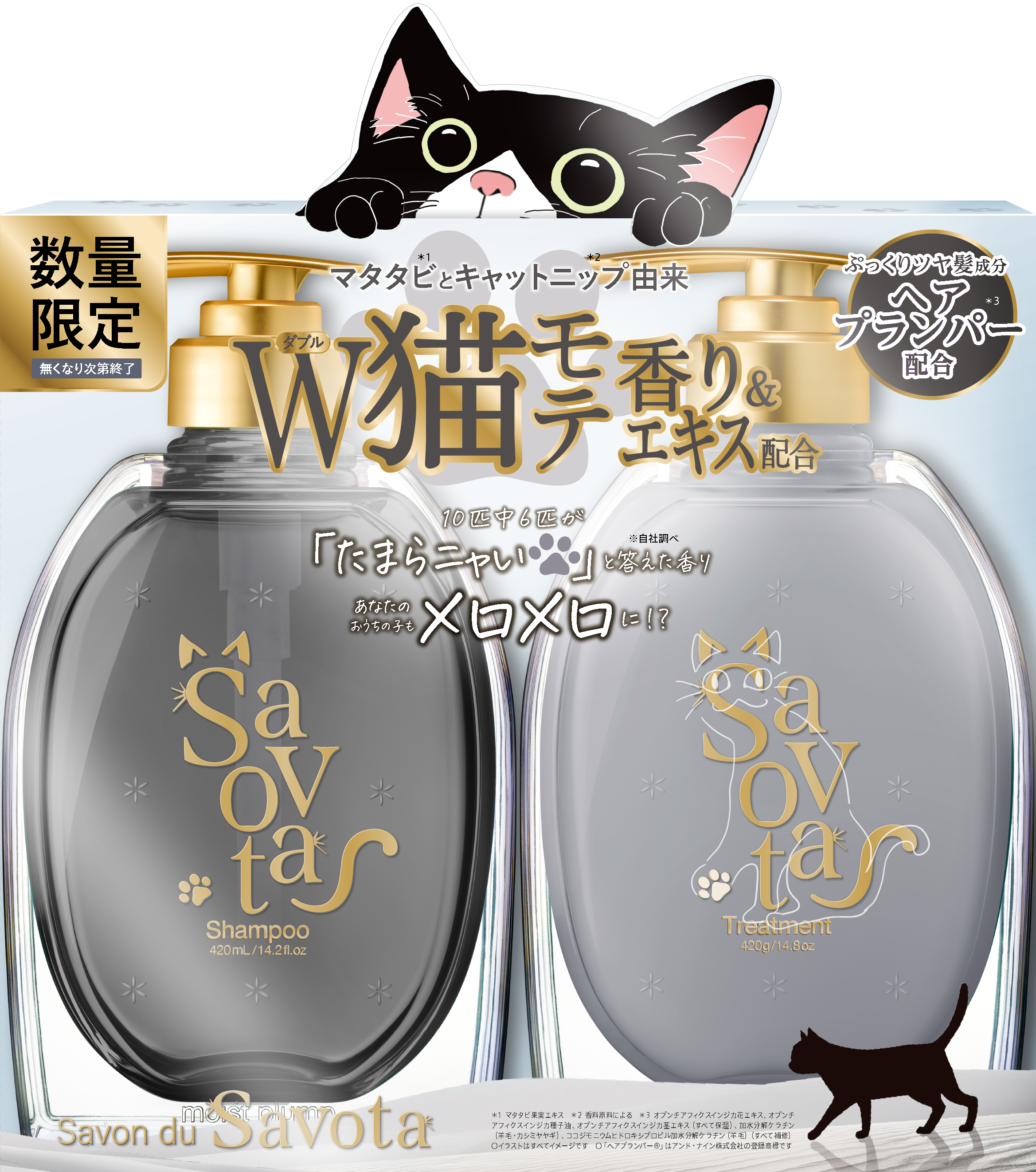 サボンドニャボタ モイストプランプペアセット 猫モテ（シャンプー
