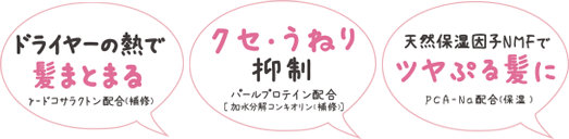 サロンレディ 密着ツヤぷるクレイヘアマスクの特徴