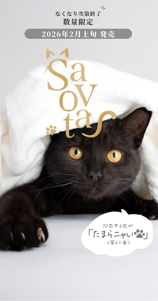 2026年2月上旬に数量限定発売！10匹中6匹がたまらニャイと答えた香り,サボンドニャボタ