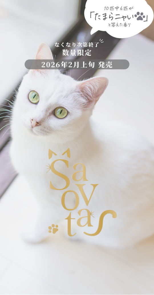 2026年2月上旬に数量限定発売！10匹中6匹がたまらニャイと答えた香り,サボンドニャボタ