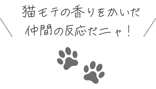 ニャボタのまたたび成分を嗅いだ仲間の反応ニャ！