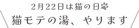 2月22日は猫の日。猫モテの湯、やります！