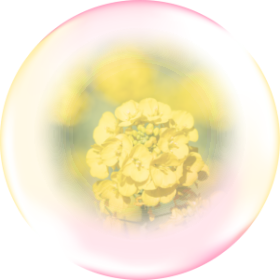 スタイルメモリーセラムの画像