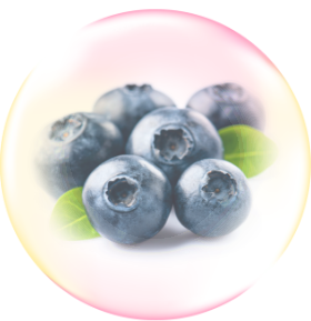 ビルベリーオイルの画像