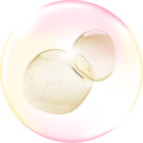 アルガンオイルの画像