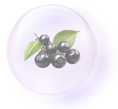 Purunt