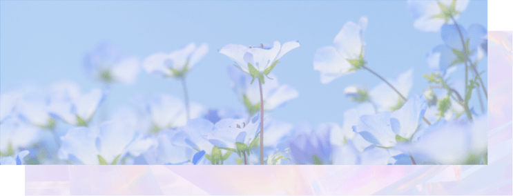 はればれネモフィラの香り