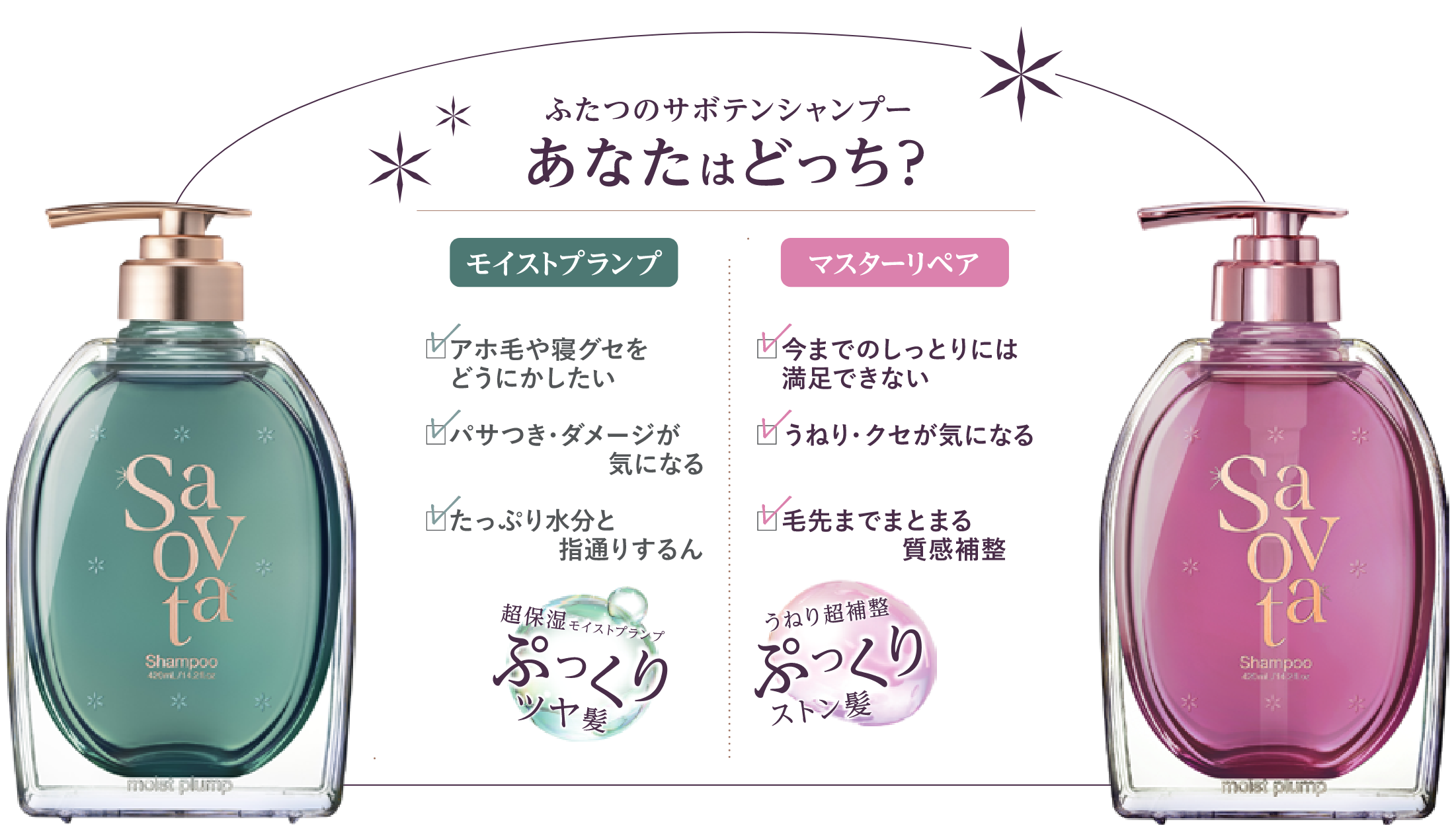 モイストプランプシャンプーの写真