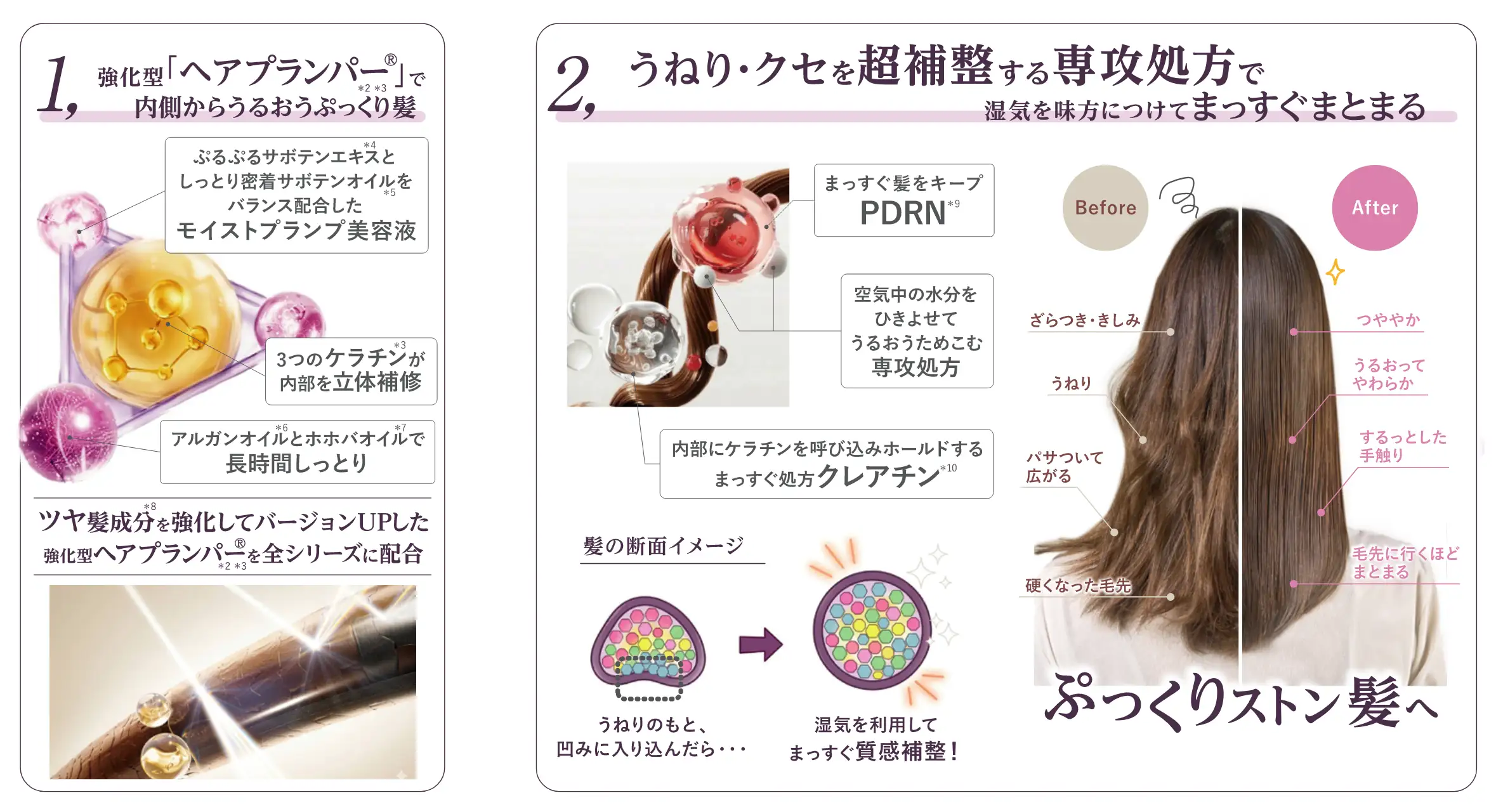 モイストプランプシャンプーの写真