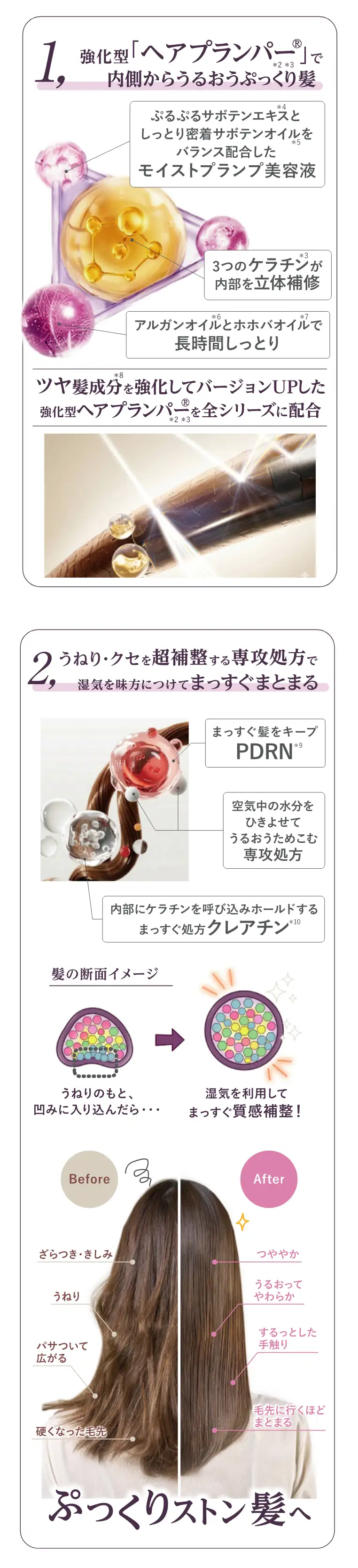 モイストプランプシャンプーの写真