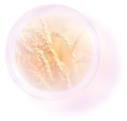 Purunt