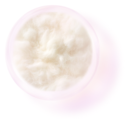 Purunt